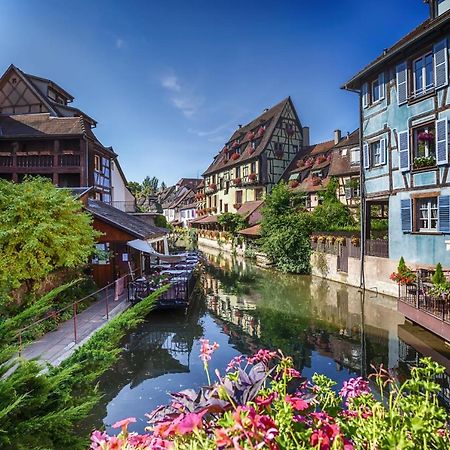 Dependance De Charme - Tiny House Apartment Colmar Bagian luar foto