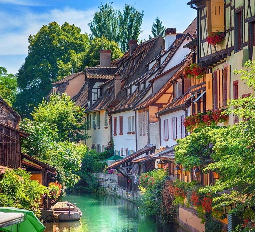 Dependance De Charme - Tiny House Apartment Colmar Bagian luar foto