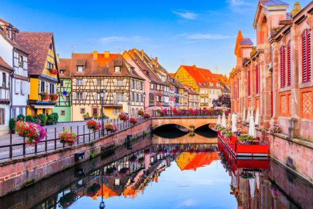 Dependance De Charme - Tiny House Apartment Colmar Bagian luar foto