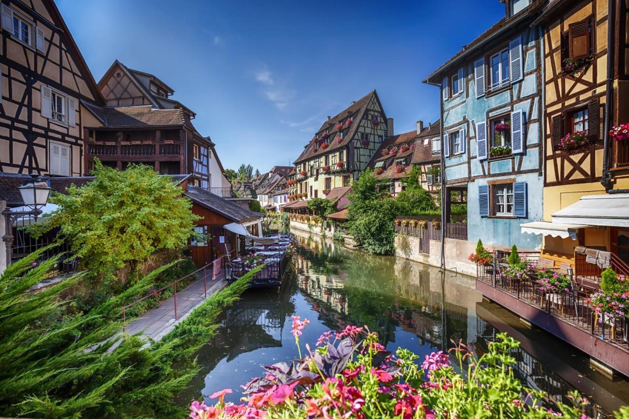 Dependance De Charme - Tiny House Apartment Colmar Bagian luar foto